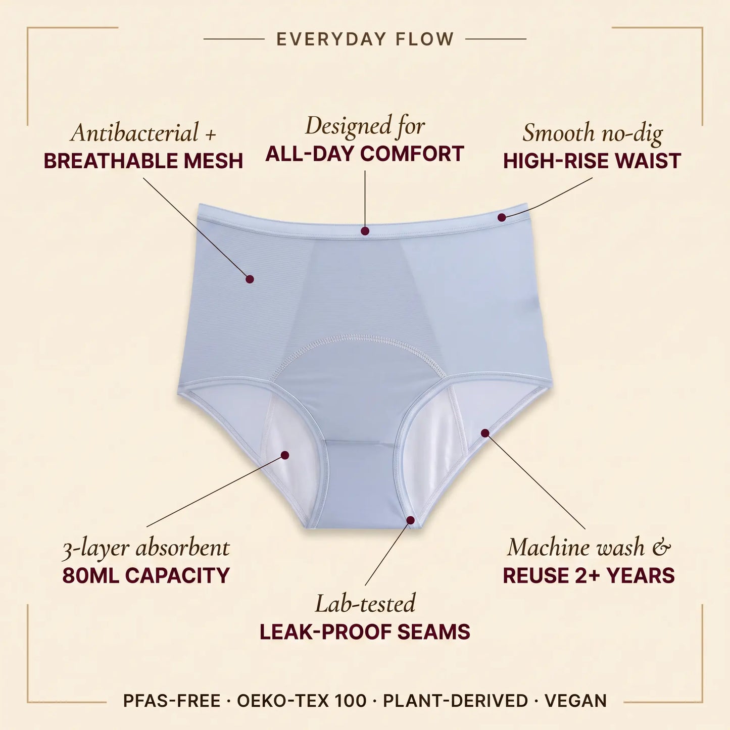Moderate Mesh Brief (5-Pack)