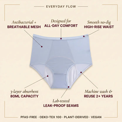 Moderate Mesh Brief (5-Pack)